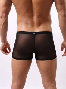 1pc Sexy Men's Sheer Mesh Backless Briefs - Black - View 5