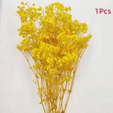 1 Bouquet Eternal Flowers & Baby's Breath Dried Flower Decor, Colorful Natural Dried Flower Mini Bouquet - Multicolor - View 10