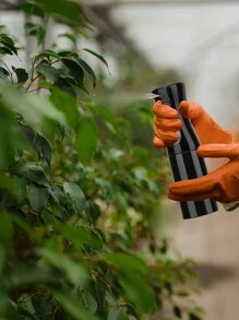 4件套美发造型梳套装，包含1个200毫升黑色喷雾瓶、1把顺发梳、1把解结梳、1把尖尾梳，男女皆宜，尤其适合卷发。 - 全黑 - 查看 9