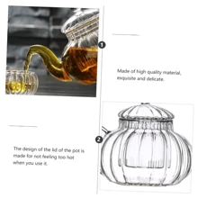 带可拆卸浸泡器的玻璃茶壶、安全炉灶茶壶、带可拆卸玻璃浸泡器的硼硅酸盐玻璃茶壶、散叶茶壶套装，适用于户外、露营