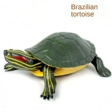 逼真可爱的红耳龟模型，儿童塑料爬行动物玩具，漂浮沐浴玩具，儿童生日礼物，教育认知模型