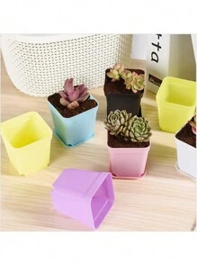 Set da 10 Pezzi Vaso da fiori quadrato di colore misto, mini vaso per piante grasse con vassoio, fioriera in plastica, decorazione domestica da giardino
