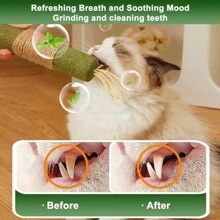 1 paquete de juguetes con hierba gatera para gatos, palos de hierba gatera, juguetes para masticar para la limpieza dental de gatos, golosina para gatos y gatitos, juguete dental para gatos
