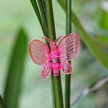 3/6/8/10pcs Butterfly Orchid Clips, Garden Plant Clips, Support Clips Vine Clips Plant Clips For Support Flower Orchid Vine(Random Color)