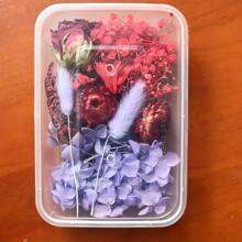 Decoration Eternal Flower Box, DIY Craft Floral Material, Photo Frame, Fan, Floret, Epoxy Resin Floral Supplies, Universal Floral Crafting Items Gifts Birthday Graduation