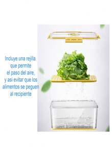 Contenedor De Alimentos Para Refrigerador Con Temporizador Manual - Gris - Ver 6