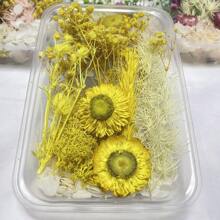 Decoration Eternal Flower Box, DIY Craft Floral Material, Photo Frame, Fan, Floret, Epoxy Resin Floral Supplies, Universal Floral Crafting Items Gifts Birthday Graduation