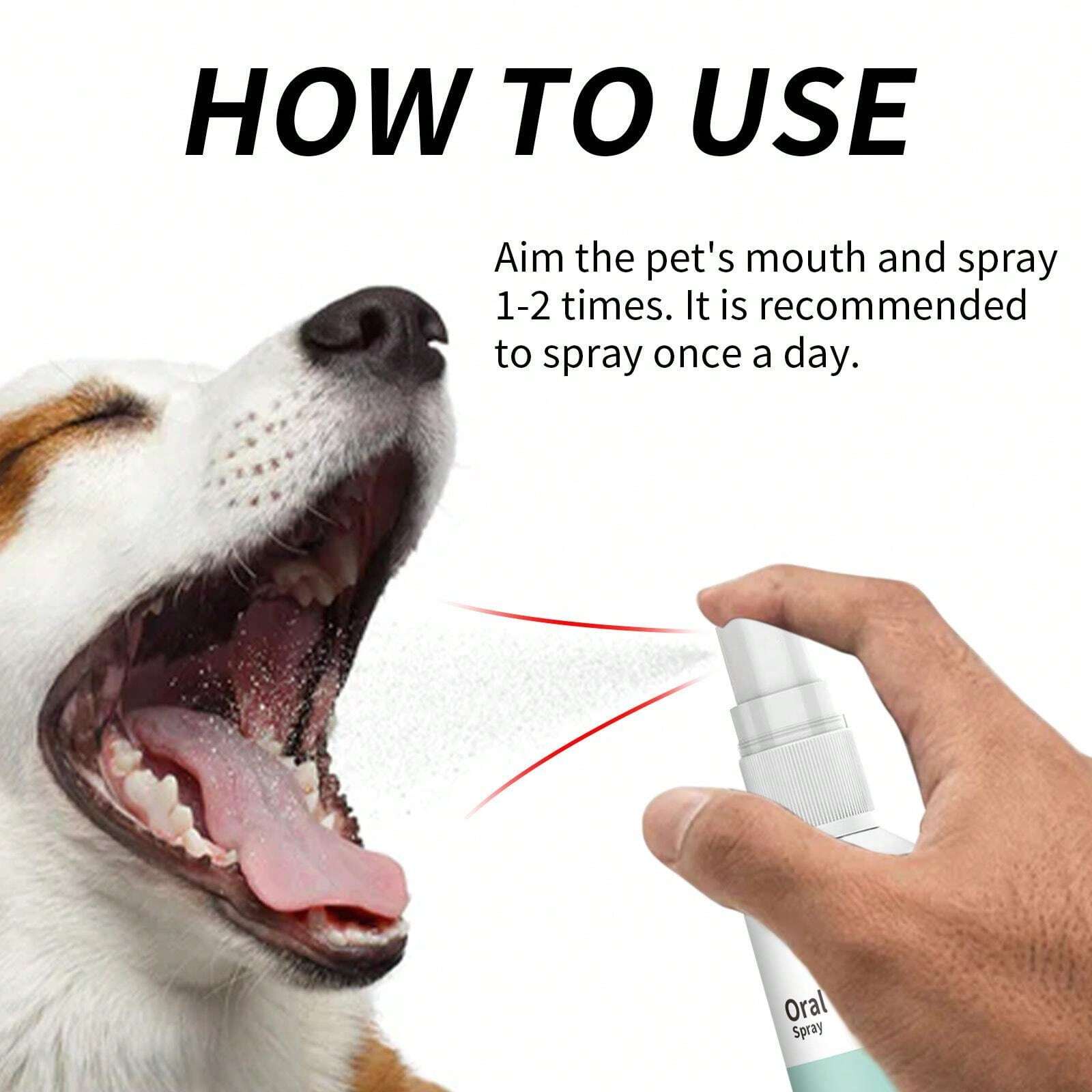 1 Box Of 100ml Pet Mint Flavor Fresh Breath Spray To Clean Dog's Mouth