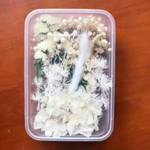 Decoration Eternal Flower Box, DIY Craft Floral Material, Photo Frame, Fan, Floret, Epoxy Resin Floral Supplies, Universal Floral Crafting Items Gifts Birthday Graduation