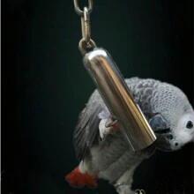 Stainless Steel Bell Toy For Medium To Large Parrots, Chewing & Grinding Toy For Parrot Bird Cage Accessories