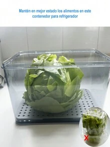 Contenedor De Alimentos Para Refrigerador Con Temporizador Manual - Gris - Ver 5