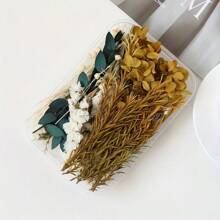Decoration Eternal Flower Box, DIY Craft Floral Material, Photo Frame, Fan, Floret, Epoxy Resin Floral Supplies, Universal Floral Crafting Items Gifts Birthday Graduation