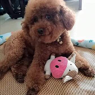 Durable Plush Squeaky Dog Toys, Chew Doll For Small Puppies, Pet Teething & Boredom Relief Supplies