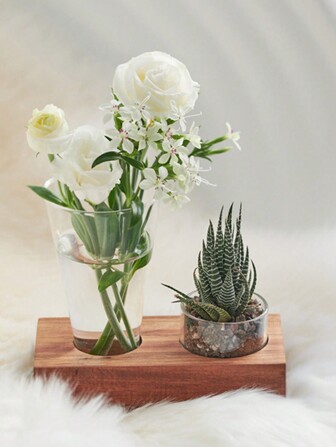 1 套 Ins 风格玻璃杯组合，包括零食杯、冷冻杯、果酱碟、玫瑰木底座多肉植物盆