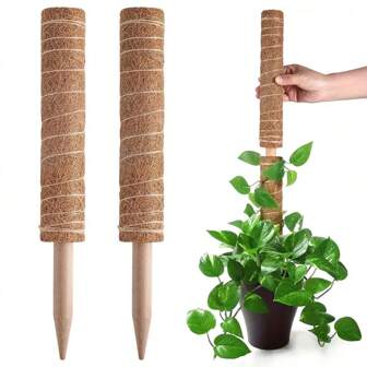 2 pièces/paquet Support de plante de mousse Monstera pour plantes grimpantes d'intérieur et d'extérieur