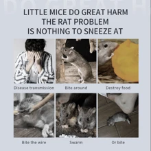AI Smart Pulse Resonance Rodent Repeller, High Power Ultrasonic Pest Repeller, High Frequency Resonant Wave, 360° Full Coverage, Wave Scanning, Auto Frequency Adjustment, Physical Rodent Repelling, Safe And Reliable. This Product Has Silent And Sound Modes. The Sound Mode (Emits An Irritating Sound) Is Suitable For Use When People Are Not Around To Drive Away Pests In Advance. The Mode Can Be Switched According To The Usage Environment. Applicable For Home, Kitchen, Office, Hotel, Warehouse And Other Indoor Pest Elimination, Mosquito And Rodent Repelling. - View 6