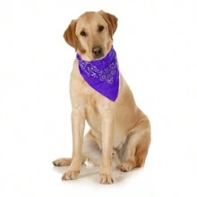 10-Pack Paisley Cotton Dog Scarf Triangle Bibs  - XL And Washable - Purple - View 2