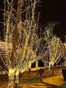 1 件户外 LED 灯串 - 闪烁的星星仙女灯，适用于圣诞节、婚礼和节日装饰 - 彩色花园灯串、装饰性霓虹灯、星光灿烂的 LED 花彩灯（不含电池）、房间装饰圣诞装饰圣诞灯卧室装饰家居装饰派对装饰节日圣诞礼物感恩节圣诞树装饰饰品 - 多色 - 查看 2