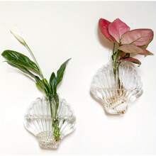 2pcs/4pcs Wall Hanging Planters Terrarium,Glass Wall Planters Propagation Vase Geometric Octagon/ Shell Shape Water Plant Holder Wall Mount For Indoor Home Decor (Plants Not Included) - Multicolor - View 15