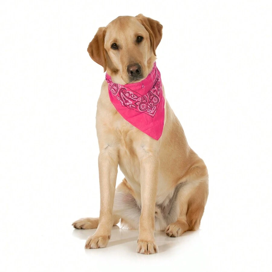 10-Pack Paisley Cotton Dog Scarf Triangle Bibs  - XL And Washable - 玫紅色 - 查看 1