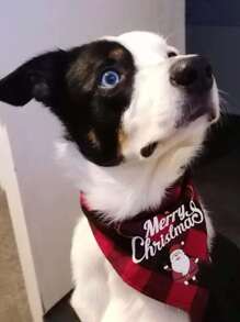 1/2 Pcs Christmas Triangular Scarf, Bib, Pet Party, Family Members, Pet Scarf, New Year Celebration, Christmas Tree Decoration, Napkin