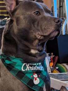 1/2 Pcs Christmas Triangular Scarf, Bib, Pet Party, Family Members, Pet Scarf, New Year Celebration, Christmas Tree Decoration, Napkin