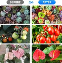 Grow Light With Stand,  Full Spectrum Gooseneck Floor Plant Light For Indoor Plants Growing,10 Dimmable Levels & Auto On/Off Timer,Tripod Stand Plant Lamp Height Adjustable Red With Blue - M-1套 - 查看 6