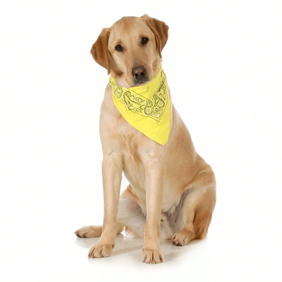 10-Pack Paisley Cotton Dog Scarf Triangle Bibs - XL And Washable - Yellow - View 1