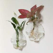 2pcs/4pcs Wall Hanging Planters Terrarium,Glass Wall Planters Propagation Vase Geometric Octagon/ Shell Shape Water Plant Holder Wall Mount For Indoor Home Decor (Plants Not Included) - Multicolor - View 5