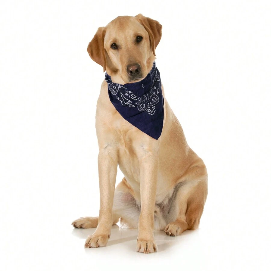 10-Pack Paisley Cotton Dog Scarf Triangle Bibs  - XL And Washable - Biru - View 1