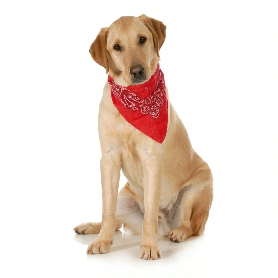 10-Pack Paisley Cotton Dog Scarf Triangle Bibs  - XL And Washable - Red - View 1