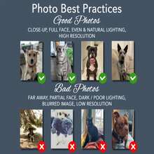 1PC 定制宠物肖像沙滩巾、定制宠物吸水浴巾、个性化毛巾、定制狗沙滩巾、猫毛巾、沙滩毯、儿童沙滩巾、宠物照片面巾 - 彩色 - 查看 6