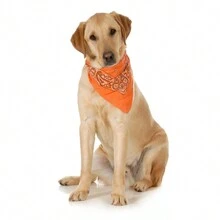 10-Pack Paisley Cotton Dog Scarf Triangle Bibs  - XL And Washable - Orange - View 2