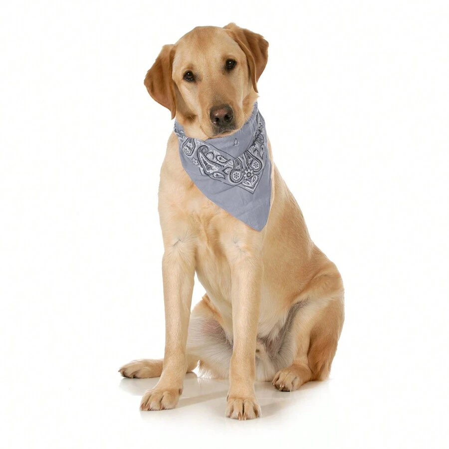10-Pack Paisley Cotton Dog Scarf Triangle Bibs - XL And Washable - Grey - View 1