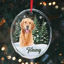 Catygift Ornement de Noël en verre personnalisé avec photo de votre animal de compagnie - Cadeau de Noël, cadeau d'anniversaire, cadeau de remise des diplômes pour les amateurs de chiens - Comme indiqué - Voir 6