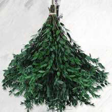 1. Eukalyptusblätter, natürliche getrocknete Blumenstiele, 100/200g echte Eukalyptuszweige für den Duschgebrauch, 2. 43cm konservierte frische Eukalyptusblätter, getrocknete Eukalyptuszweige, für Dekoration, Hochzeit, Heimdekoration, Rattanmaterial, Fotografie-Requisiten