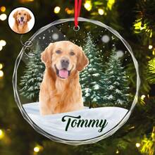Catygift Ornement de Noël en verre personnalisé avec photo de votre animal de compagnie - Cadeau de Noël, cadeau d'anniversaire, cadeau de remise des diplômes pour les amateurs de chiens - Comme indiqué - Voir 3