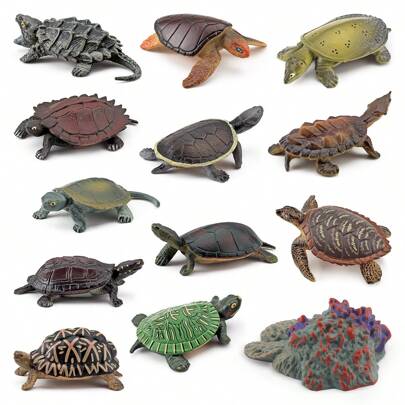 1 件逼真的中国软壳龟/日本池龟仿制模型玩具