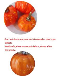 50 件秋季装饰人造南瓜和葫芦套装，假南瓜，松果，橡子和枫叶，秋季婚礼装饰，用于收获南瓜桌，人造南瓜金南瓜套装万圣节南瓜装饰，用于感恩节南瓜道具，圣诞节 - 彩色 - 查看 7