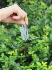 2 件/6 件黑蜻蜓悬挂装饰，木柱蜻蜓花园装饰，防水逼真蜻蜓适合室内/室外