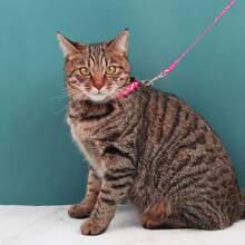 1pc 110cm Long Polyester Printed Material Dog/Cat Leash, Suitable For Various Small Dogs & Cats, Pet Supplies Accessory