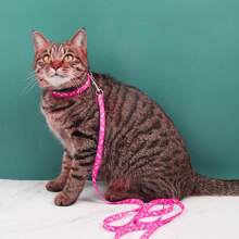 1pc 110cm Long Polyester Printed Material Dog/Cat Leash, Suitable For Various Small Dogs & Cats, Pet Supplies Accessory