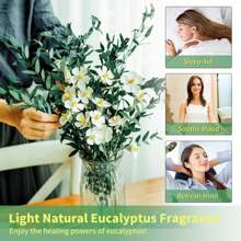 1. Eukalyptusblätter, natürliche getrocknete Blumenstiele, 100/200g echte Eukalyptuszweige für den Duschgebrauch, 2. 43cm konservierte frische Eukalyptusblätter, getrocknete Eukalyptuszweige, für Dekoration, Hochzeit, Heimdekoration, Rattanmaterial, Fotografie-Requisiten