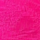 Rosa chiclete