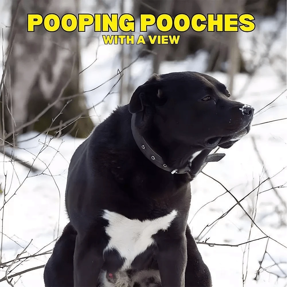 2025 Pooping Pooches Dog Calendar, Gift Exchange Holiday New Year Gift