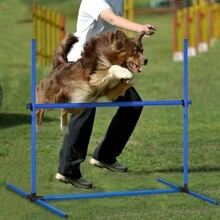 YUENFONG Dog Agility Set Hurdle Set With 4 X Hurdles, Height Adjustable Slalom Poles Training Set Including Carrying Bag, For Dogs, Training, 104 X 70 X 101 Cm - Blue - View 6