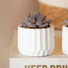 Decorative Artificial Succulent Pot Cement 7.5X11.3CM Bathroom Lavatory Office - 白色 - 查看 1