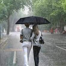 优质十骨雨伞，加大伞面，加厚加固伞架，坚固耐用，耐磨，防水防风，不褪色，晴天雨天两用自动伞 - 彩色 - 查看 6