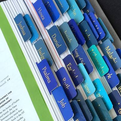 Bible Tabs, 75 Tabs, Large Print Laminated Bible Tabs For Women And Men, Easy To Read Bible Book Tabs For Study Bible, Index Tabs For Old And New Testament, Bible Labels Tabs For Christian Gift, Blue,School Supplies,Back To School