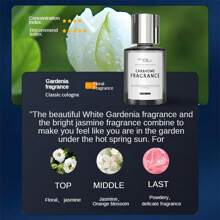 Easypie Selection 1pc汽车香水车载香水车用香水持久清新香薰摆件高端网红香水